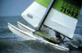 foto_tema3.gif (10175 bytes)