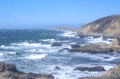 foto_tema4.gif (9201 bytes)