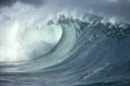foto_tema5.gif (9614 bytes)